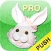 Easter Countdown Pro w/Push Notifications